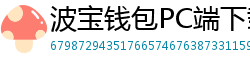 波宝钱包PC端下载